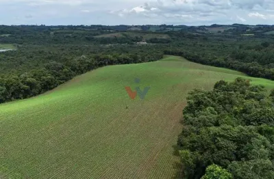 Terreno de 10 alqueires à venda em araucária  oportunidade única de investimento