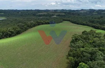 Terreno de 10 Alqueires à Venda em Araucária  Oportunidade Única de Investimento