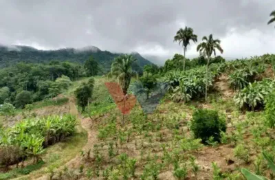 Sítio de 33 Hectares com Produção Agrícola e Potencial para Turismo Rural