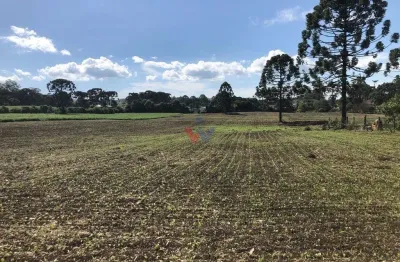 Terreno industrial comercial 19.400m  em almirante tamandaré  excelente investimento