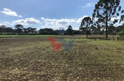 Terreno Industrial Comercial 19.400m  em Almirante Tamandaré  Excelente Investimento