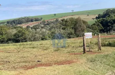 Área de 50.000 m² na região central, urbana, em faxinal!