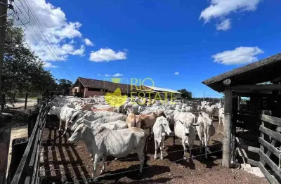 Chácara / sítio com 5 quartos à venda na Núcleo Habitacional Banqueiros, Centro, Araruama