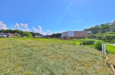 Terreno comercial para alugar na Vila Ana Maria, Ribeirão Preto 