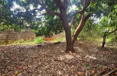 Terreno em condomínio de 330m² para locação e venda - condomínio itamaraty