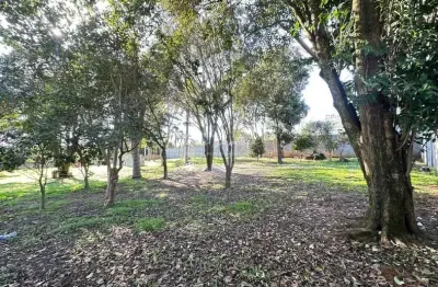 Terreno à venda na Rua Verônica Chanoski Matias, 10, Colônia Dona LuÍza, Ponta Grossa