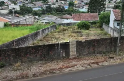 Terreno à venda na Rua Doutor Luiz Conrado Mansani, s/n, Oficinas, Ponta Grossa