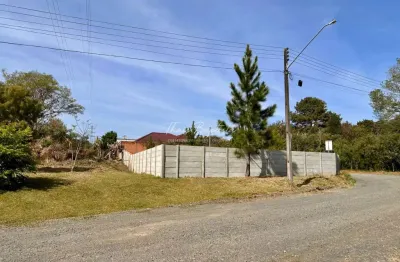 Terreno à venda no Jardim Carvalho, Ponta Grossa 
