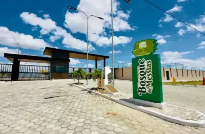 Bosque de messias: o refúgio que você e sua família merecem para quem gosta