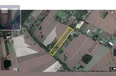 Chácara à venda, 69212 m² - gleba patrimônio maringá - maringá/pr
