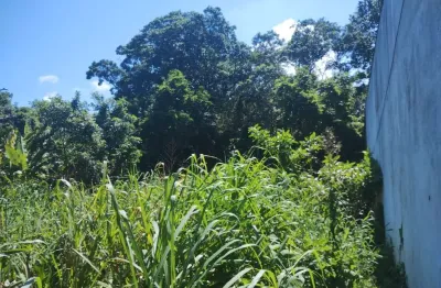 Terreno à venda no Jardim Suarão, Itanhaém 