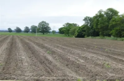 Fazenda arrendamento para café em porto seguro. 80 hectares, 120 hectares, 310 hectares