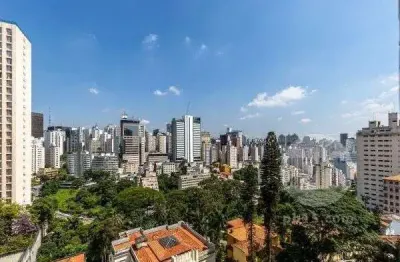 Apartamento com 3 dormitórios à venda, 275 m² por r$ 4.100.000,00 - morro dos ingleses - são paulo/sp