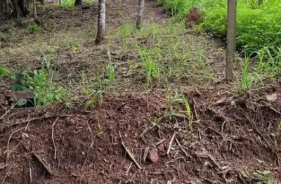 Terreno, alpes de piedade, piedade - r$ 100 mil, cod: 65
