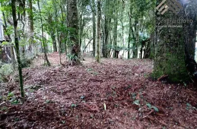 Terreno, 640,00m², à venda em canela, parque das hortênsias (laje de pedra).