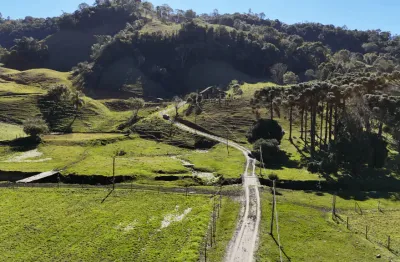 Paraiso das araucárias em rancho queimado 5.8 hectares