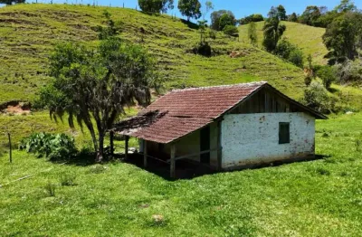 Sítio com muita pastagem e água - ideal para a criação pecuária