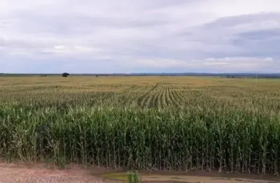 Fazenda à venda na Zona Rural, Fortuna 