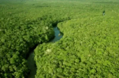 Fazenda à venda na Zona Rural, Eirunepé 