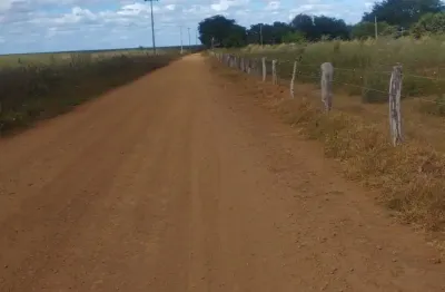 Fazenda pronta para pecuária em pastos bons no estado do maranhão