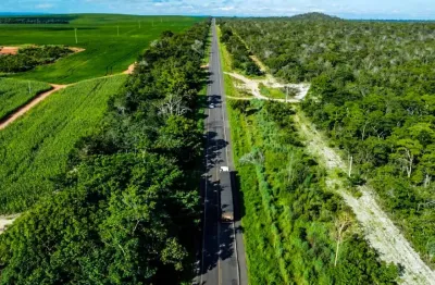 Linda fazenda pronta de lavoura no maranhão na região do matopiba