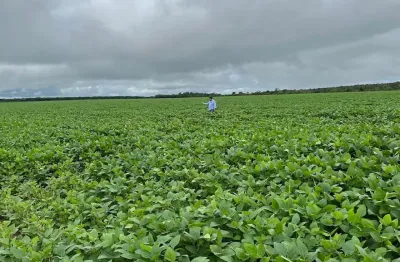 Fazenda dupla aptidão pronta para lavoura em grajaú no maranhão