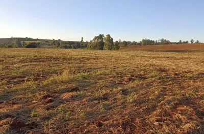 Oportunidade de investimentos agora! terra boa para plantar no paraná
