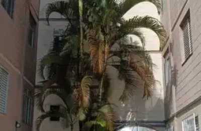 Belissimo aparatamento para aluguel na vila figueira, suzano (proximo a santa casa) - ap2180