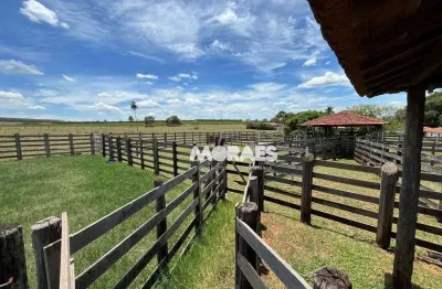 Fazenda à venda, 115 alqueires por r$ 27.000.000 - jacuba - arealva/sp