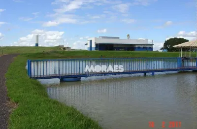 Fazenda de café à venda, 72 hectares de r$ 6.500.000 - gália/sp