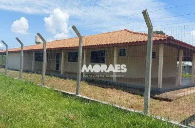 Sítio casa sede à venda, 72,6 hectares por r$ 4.500.000 - duartina/sp