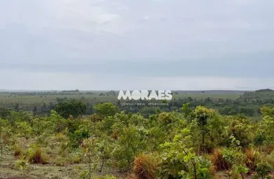 Fazenda à venda, 1.249 hectares por r$ 9.000.000 - lagoa do tocantins/tocantins