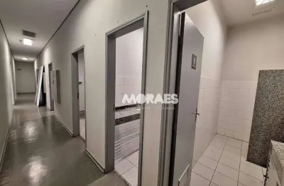 Salão para alugar, 402 m² por r$ 8.000/mês - jardim bela vista - bauru/sp