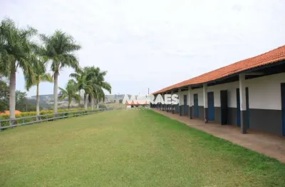 Fazenda com 64 alqueires, à venda por r$ 22.000.000 - zona rural - duartina - lucianópolis/sp