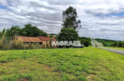 Sítio à venda, 1,6 alqueires por r$ 490.000 - tibiriça - bauru/sp