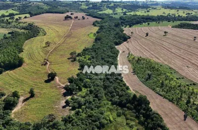 Fazenda à venda, 137,94 hectares por r$ 8.000.000 - zona rural - echaporã/sp