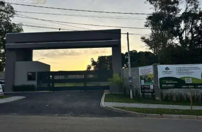 Terreno à venda, 160 m² por r$ 349.000,00 - colônia rio grande - são josé dos pinhais/pr
