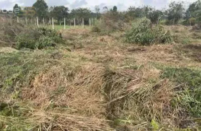 Terreno à venda na Rua Suely Lopes Bernar, Roseira de São Sebastião, São José dos Pinhais