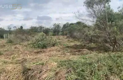 Terreno à venda na Rua Suely Lopes Bernar, Roseira de São Sebastião, São José dos Pinhais