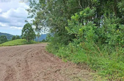 Área à venda, 20000 m² por R$ 450.000,00 - Centro (Bateias) - Campo Largo/PR