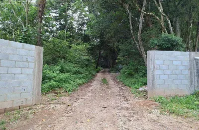 Área à venda, 20000 m² por R$ 360.000,00 - Centro (Bateias) - Campo Largo/PR