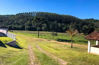 Fazenda produtiva com 93 alqueires, localizada em capão bonito p/ guapiara/sp.