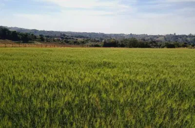 Chácara / sítio à venda na Zona Rural, Boituva 