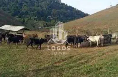 Linda fazenda com 70 hectares- documentação regularizada.