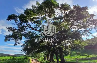 Linda propriedade com casa bicentenária em simão pereira - mg.