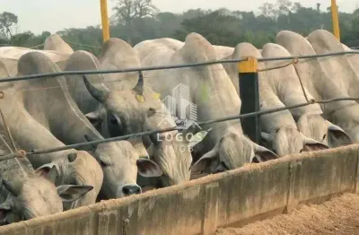 Chácara / sítio com 4 quartos à venda na Alameda Joaquim Rosa, Centro, Uberaba