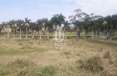 Excelente sitio 120 hectares entre rio novo e são joão neponuceno mg - 01