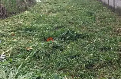 Terreno, cibratel ii, itanhaém - r$ 120 mil, cod: 1327