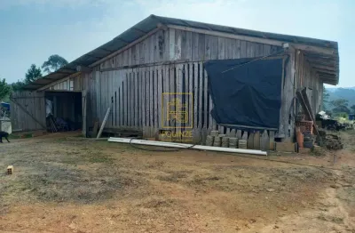Invista no seu refúgio: terreno de 2.000m² em alto cedros com rancho e proximidade à barragem do pinhal