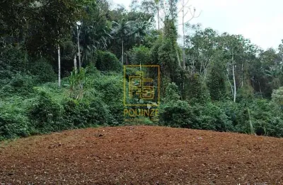 Terreno à venda no Rio Tigre, Benedito Novo 